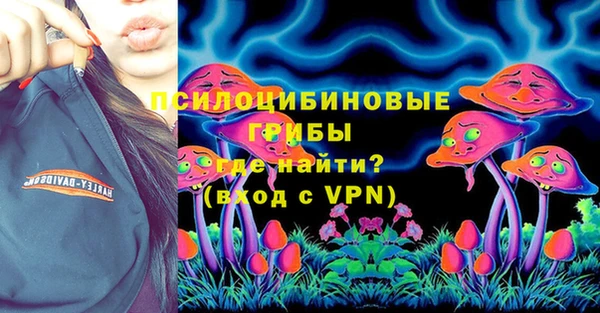 мдпв Володарск