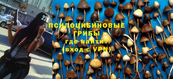 прущая мука Вяземский